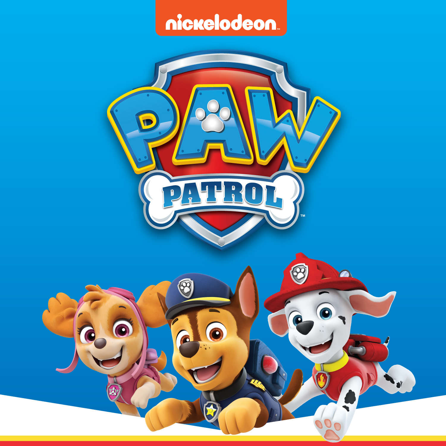 Paw Patrol Toys for Toddlers – eKids